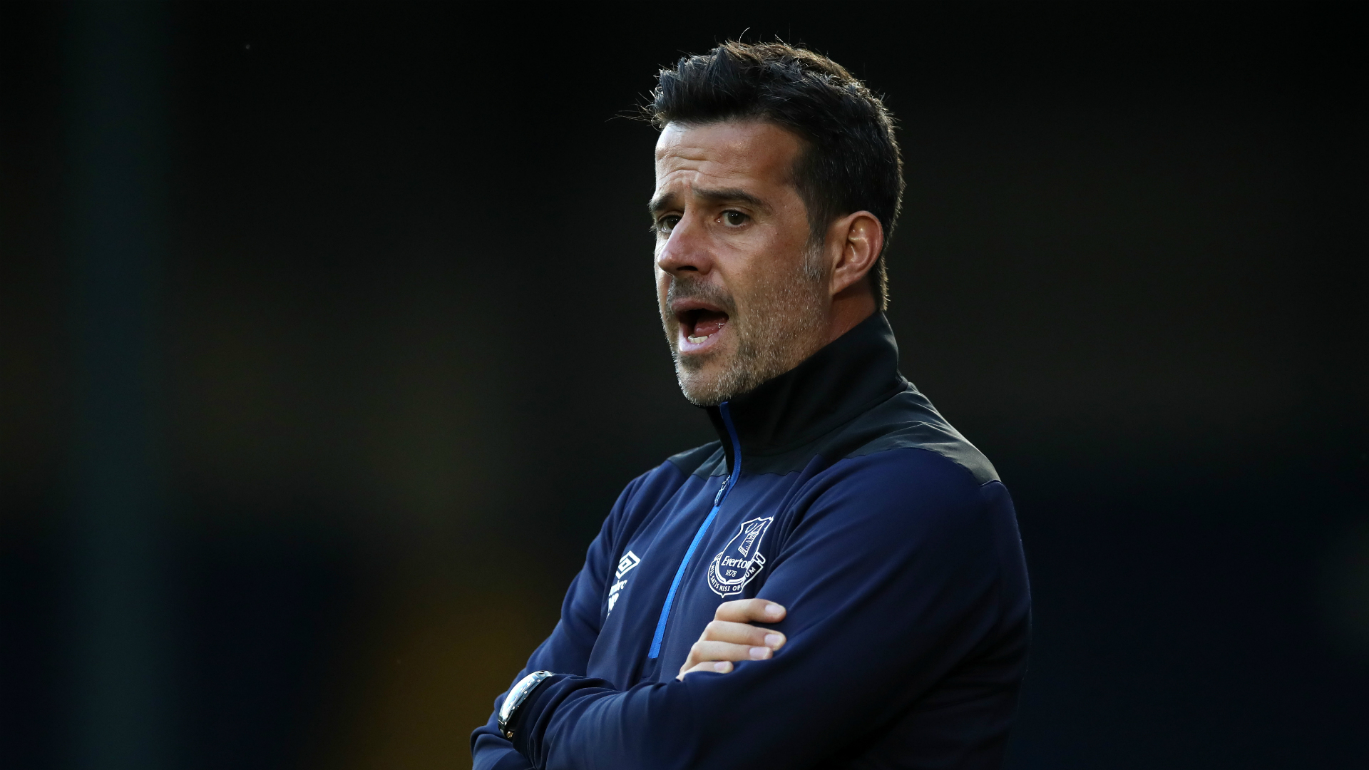 已经不再仅 已经不再仅