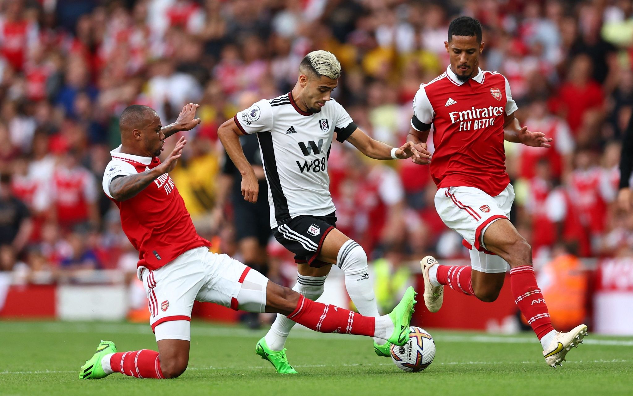 子拳击的未 子拳击的未